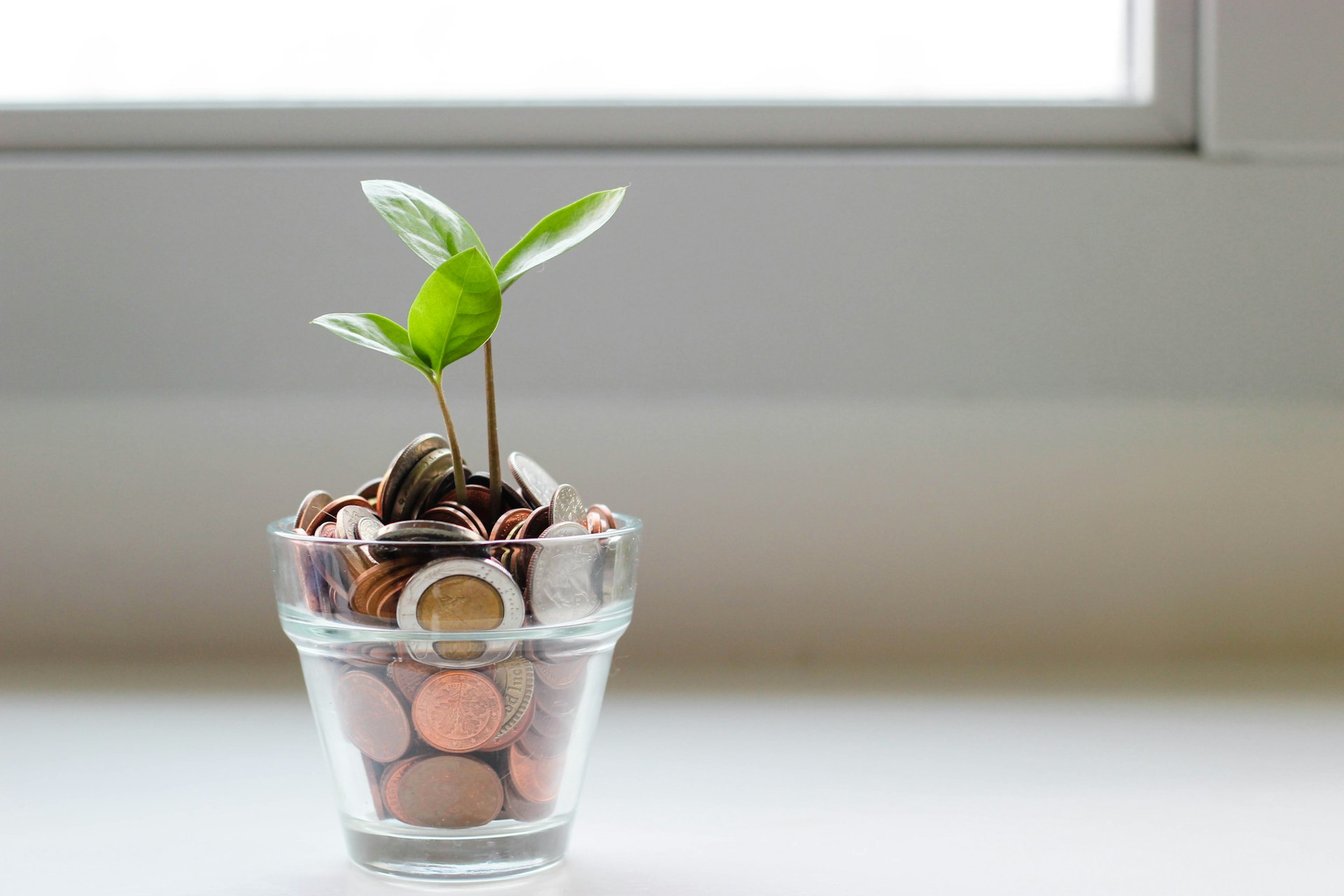 How Eco-Conscious Investors Can Access Sustainable Real Estate Crowdfunding Opportunities
