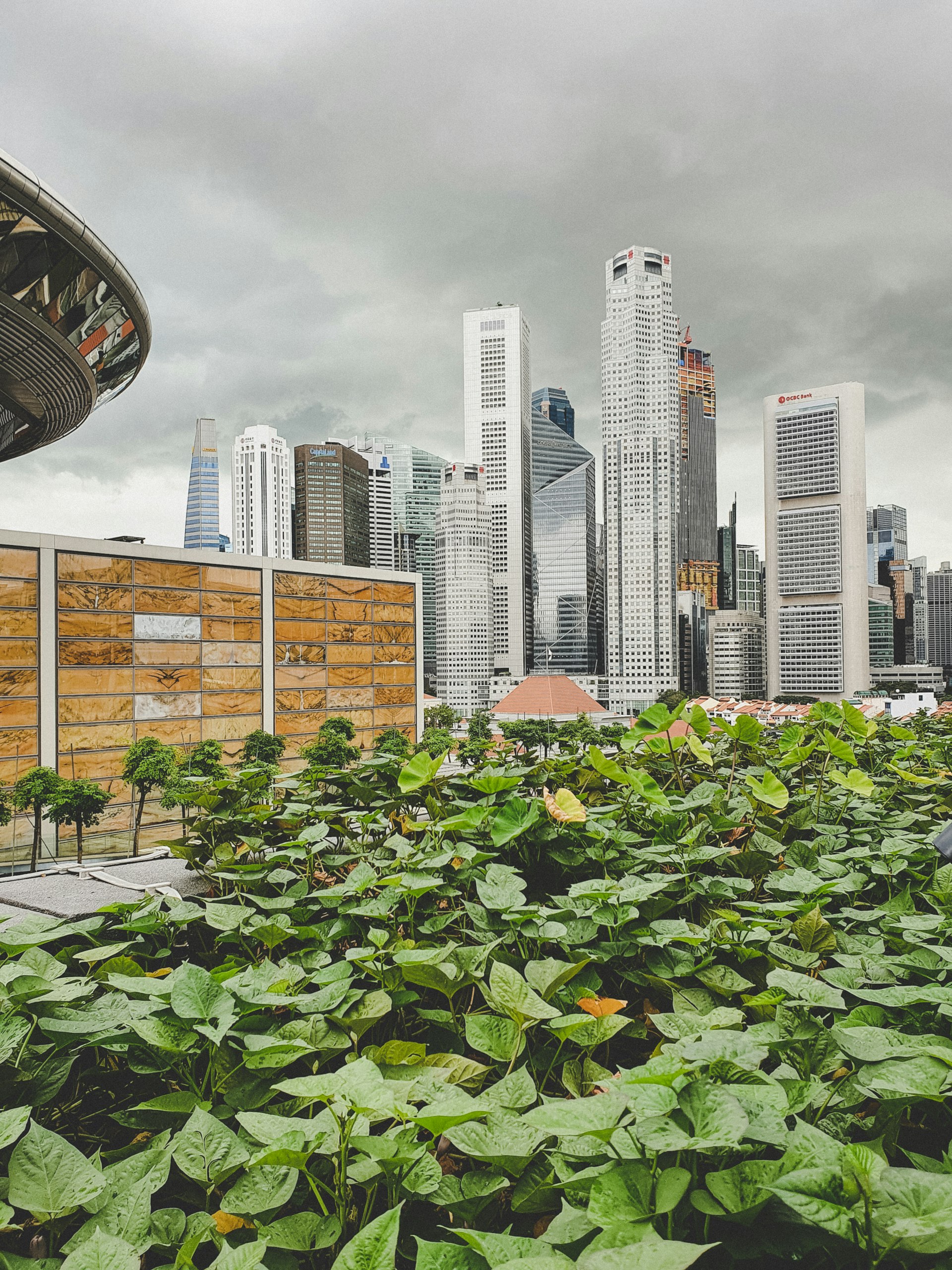 Reimagining Urban Spaces: Integrating Urban Farming with Real Estate Development